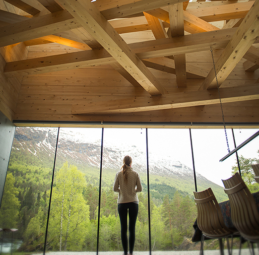
			<br /><em>that ceiling though.
            <br />
			<br />
            <br />
            <br />valldal / W</em>