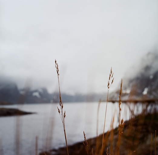 
			<br /><em>where there is rain and snow
            <br />and fog and sunshine, all in one day.
			<br />
            <br />
            <br />lofoten / artic circle</em>