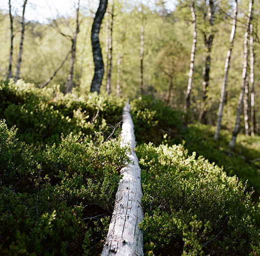 
			<br /><em>
            <br />
			<br />
            <br />
            <br />stavanger / SW</em>